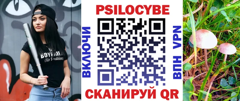 Галлюциногенные грибы GOLDEN TEACHER  где купить наркоту  MEGA сайт  Ярославль 