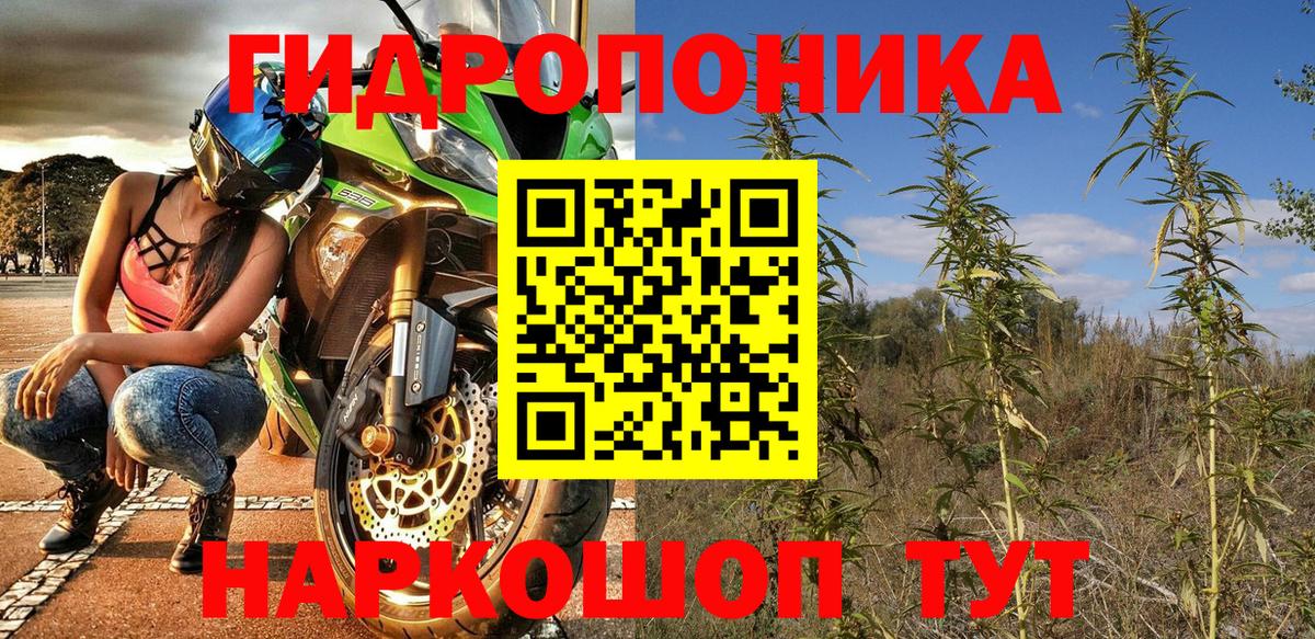 Каннабис MAZAR Ярославль